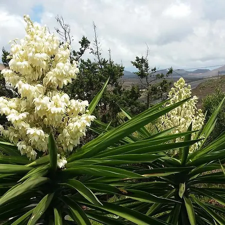 Séjour à la campagne Casa El Morro
