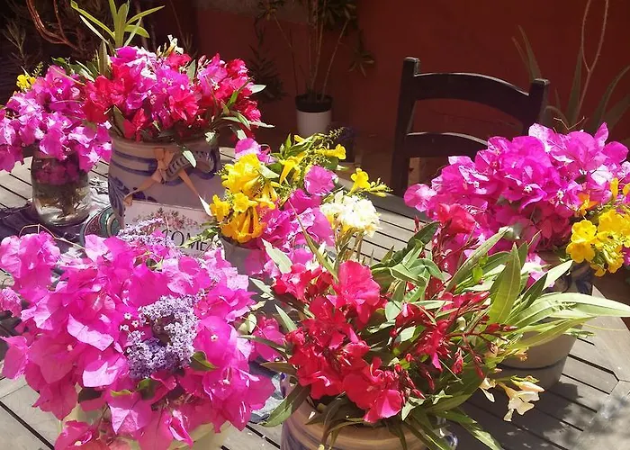 Casa El Morro Séjour à la campagne