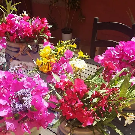 Casa El Morro Kır Evi