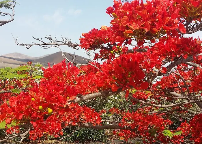 卡萨埃尔莫罗酒店 *