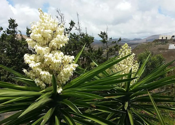 乡村民宿 卡萨埃尔莫罗酒店