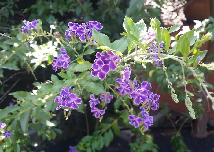 卡萨埃尔莫罗酒店 Uga